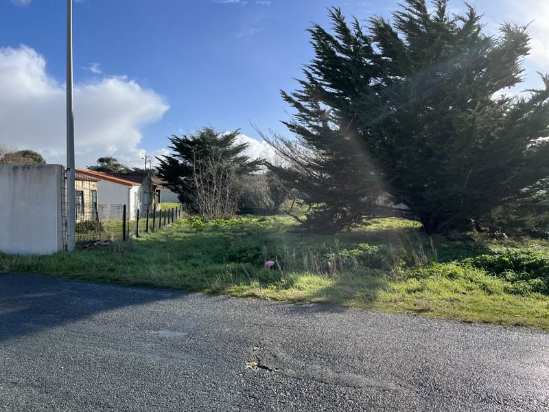 Vente Terrain ST DENIS D OLERON - -681 m² - (17650)
