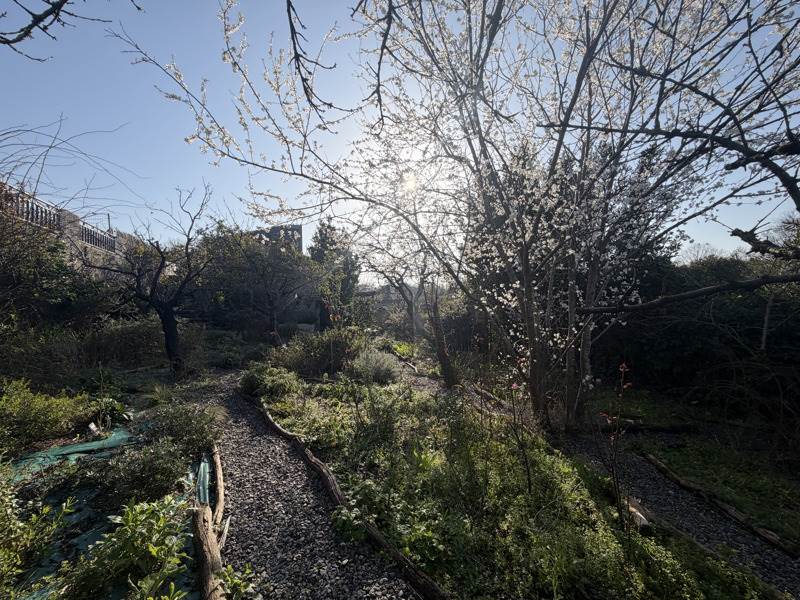 Vente Maison LORMONT - 5 pièces -94 m² - (33310)