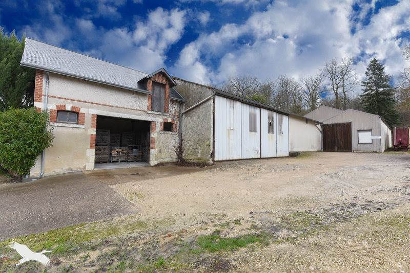Vente Maison MESLAND - 14 pièces -500 m² - (41150)
