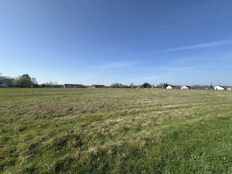 Vente Terrain CHAUMONT SUR LOIRE - -12470 m² - (41150)