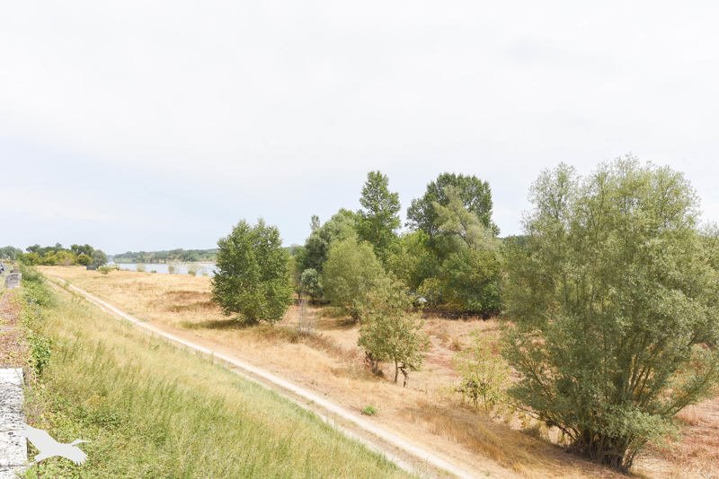 Vente Maison VEUZAIN SUR LOIRE - 5 pièces -159 m² - (41150)