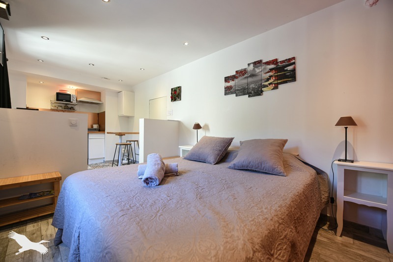 Vente Maison CHAUMONT SUR LOIRE - 1 pièce -23 m² - (41150)