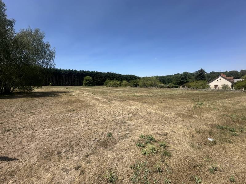 Vente Terrain MONTHOU SUR BIEVRE - -7135 m² - (41120)
