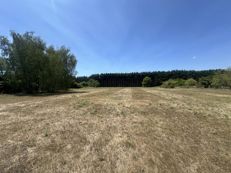 Vente Terrain MONTHOU SUR BIEVRE - -7135 m² - (41120)