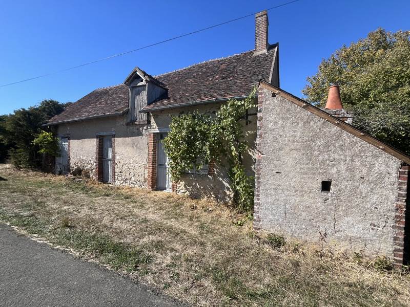 Vente Maison VEUZAIN SUR LOIRE - 1 pièce -51 m² - (41150)