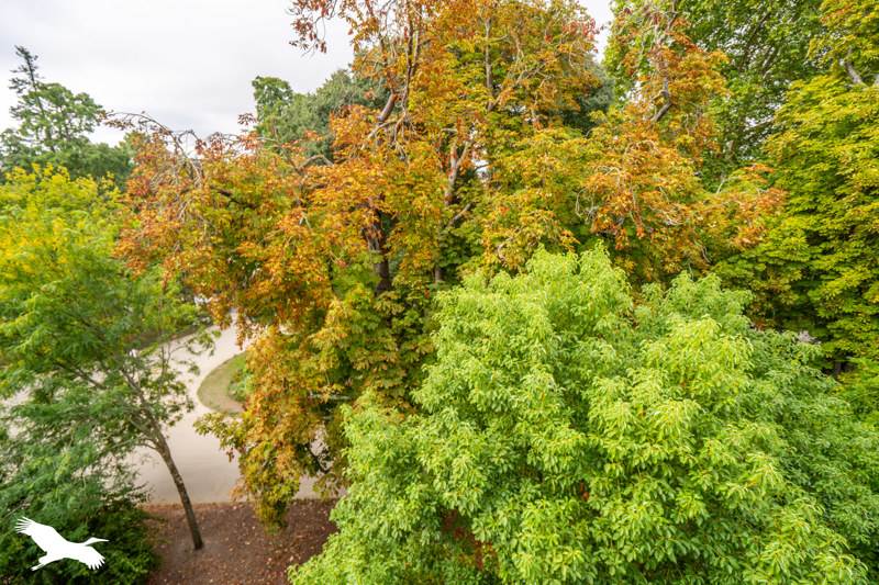 Vente Appartement Bordeaux - 1 pièce -45 m² - (33000)