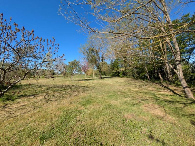 Vente Terrain CIVRAY - -7136 m² - (18290)