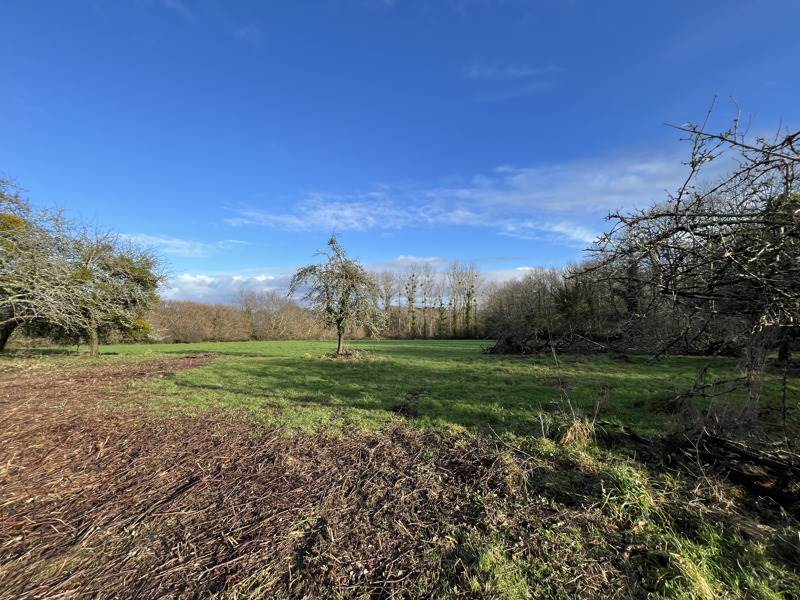 Vente Maison GOUESNACH - 6 pièces -151 m² - (29950)
