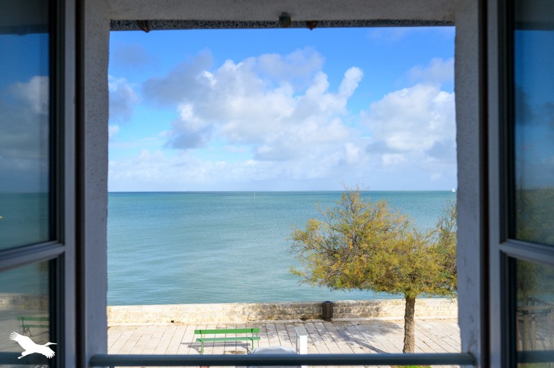 Vente Appartement LA FLOTTE - 1 pièce -29 m² - (17630)