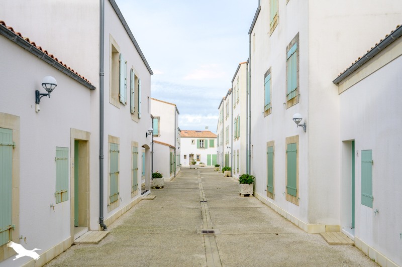 Vente Appartement ST MARTIN DE RE - 3 pièces -36 m² - (17410)