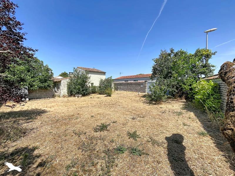Vente Maison STE MARIE DE RE - - - (17740)