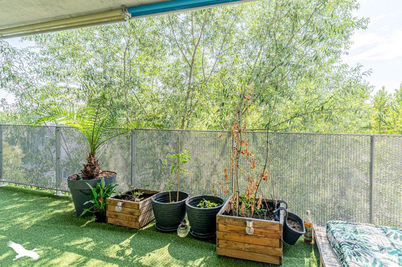 Vente Appartement BEGLES - 2 pièces -50 m² - (33130)