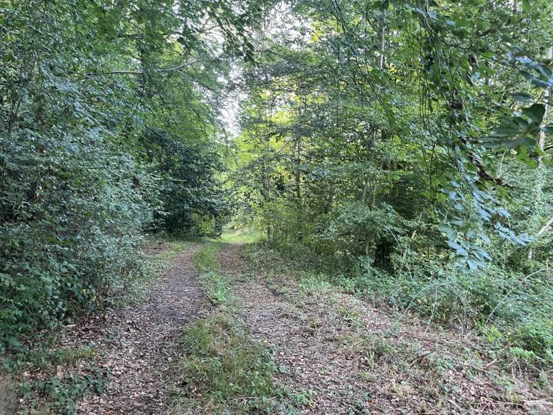 Vente Terrain JURANCON - -101027 m² - (64110)