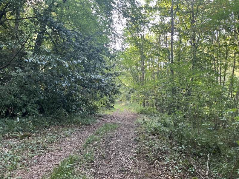 Terrain à vendre · à Jurançon · 594 613 €