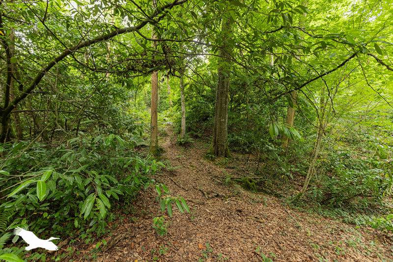 Vente Terrain JURANCON - -101027 m² - (64110)