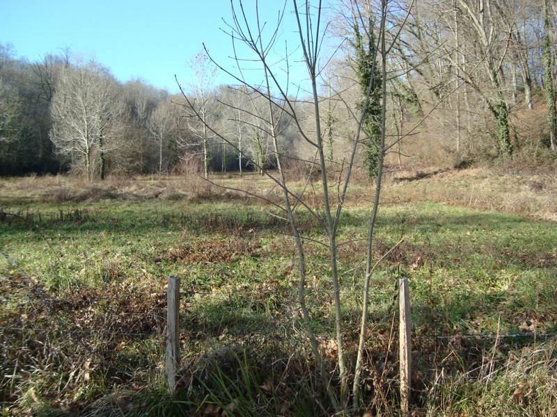 Vente Terrain JURANCON - -101027 m² - (64110)