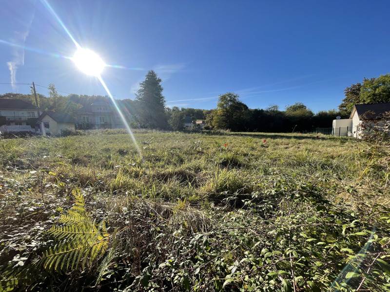Vente Terrain ARTIGUELOUVE - -965 m² - (64230)
