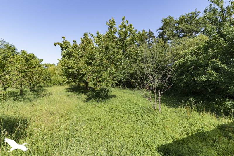 Vente Maison COUTENS - 4 pièces -110 m² - (09500)
