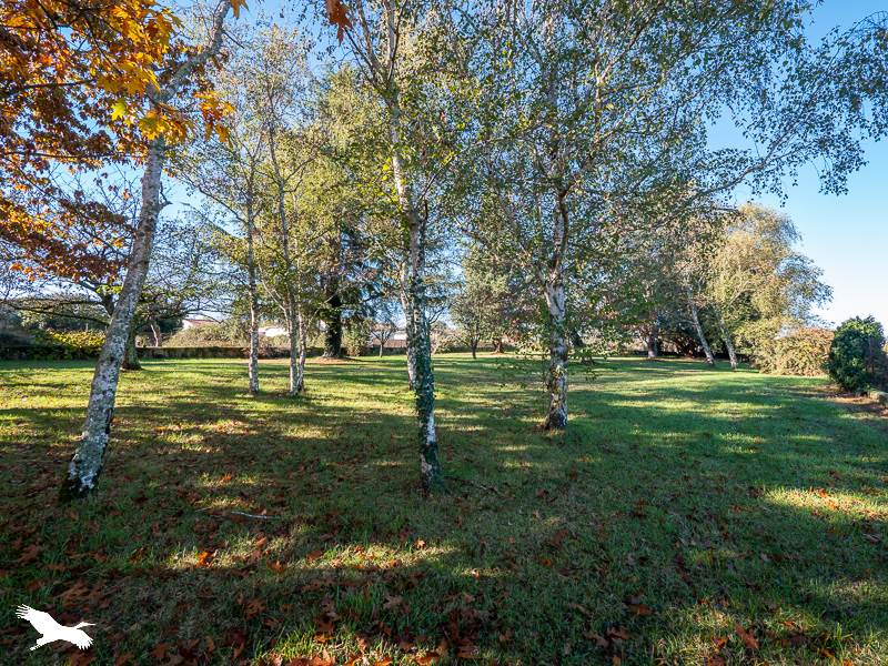 Vente Maison Rieucros - 10 pièces -283 m² - (09500)