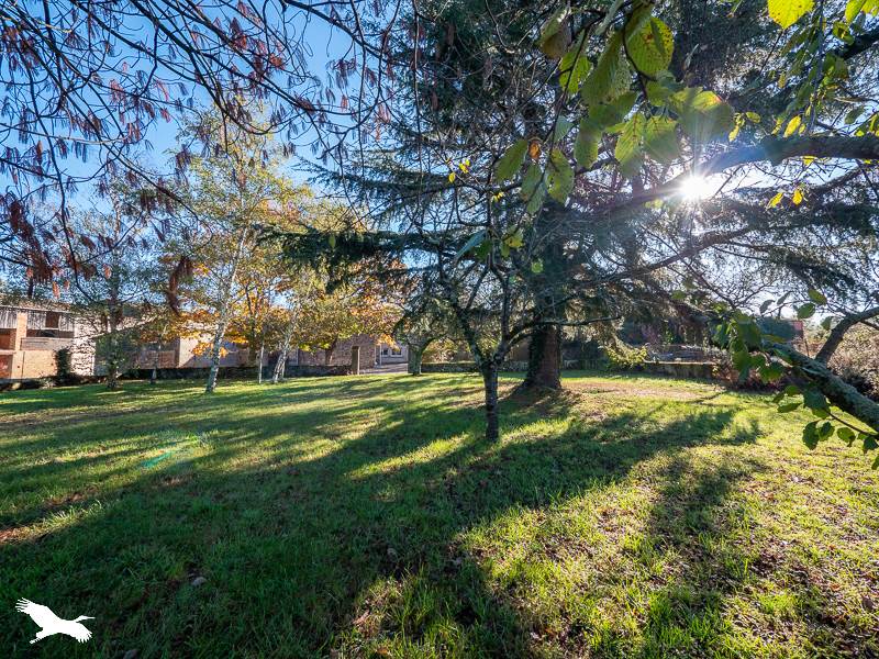 Vente Maison Rieucros - 10 pièces -283 m² - (09500)