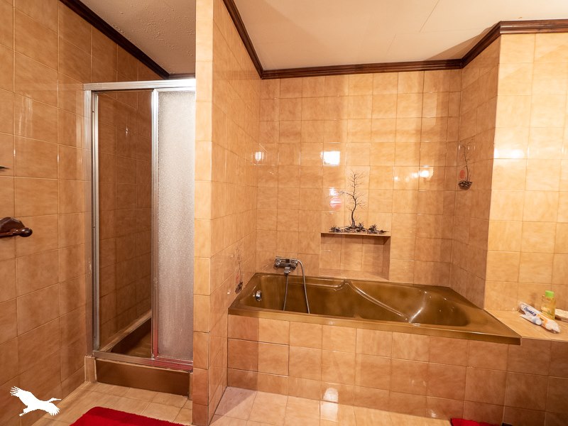 Vente Maison Rieucros - 10 pièces -283 m² - (09500)