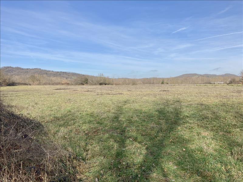 Vente Terrain MIREPOIX - -13500 m² - (09500)