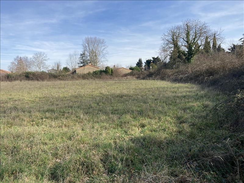 Vente Terrain MIREPOIX - -13500 m² - (09500)