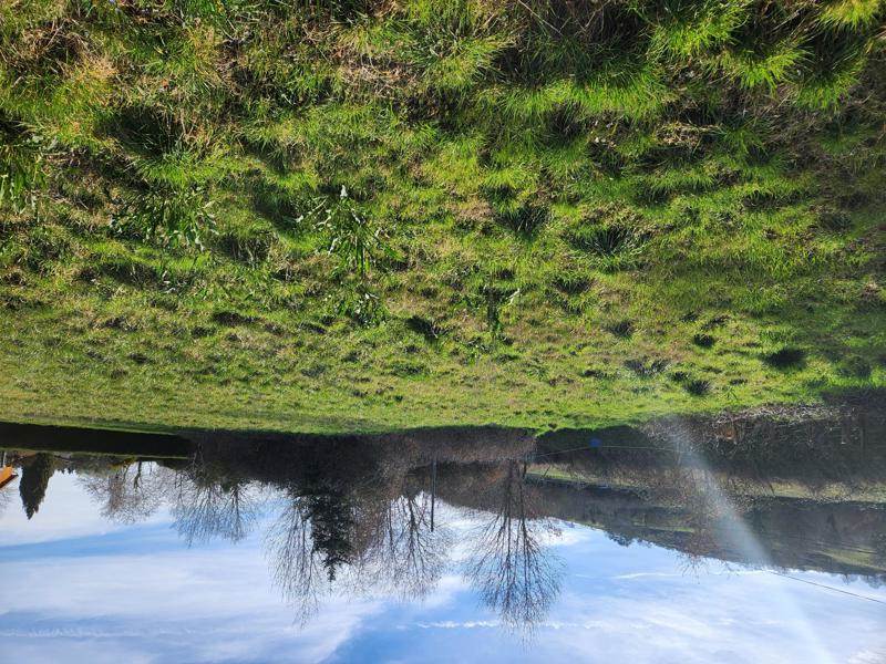 Vente Terrain VAL DE LAMBRONNE - -2475 m² - (11230)