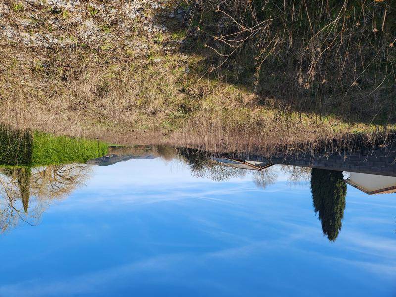 Vente Terrain COUTENS - -2201 m² - (09500)