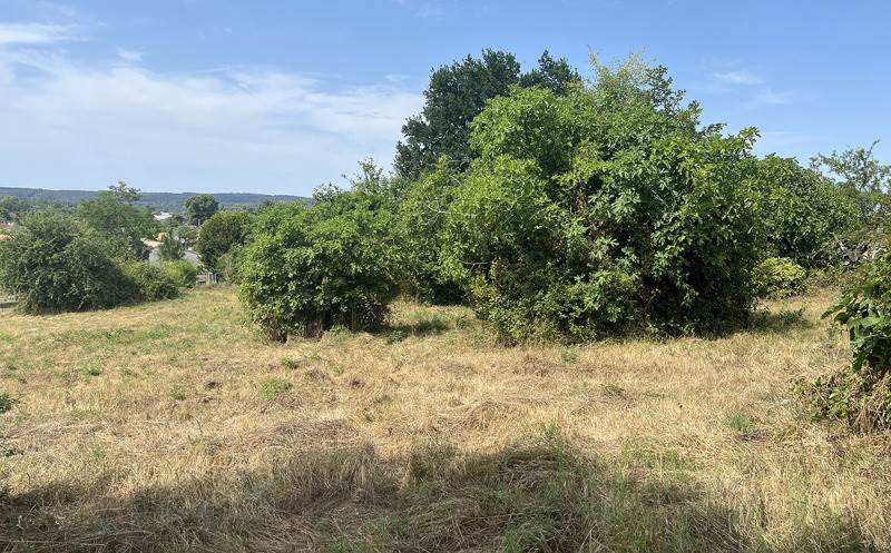 Vente Terrain MUSSIDAN - -1231 m² - (24400)