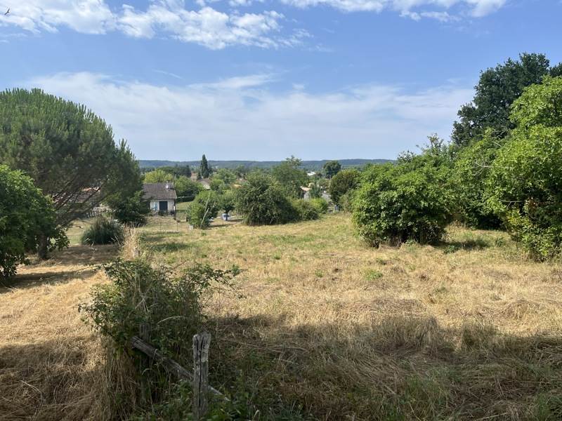Vente Terrain MUSSIDAN - -1231 m² - (24400)