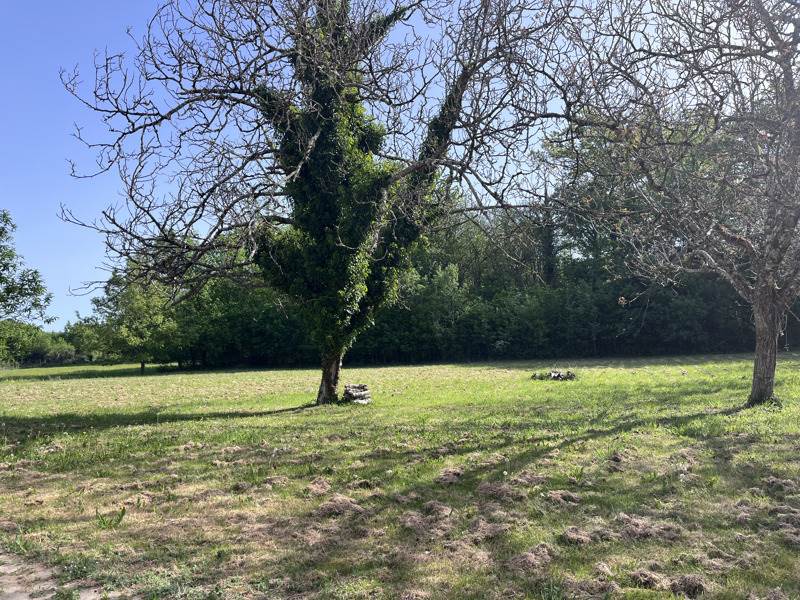 Vente Maison NEUVIC - 3 pièces -65 m² - (24190)