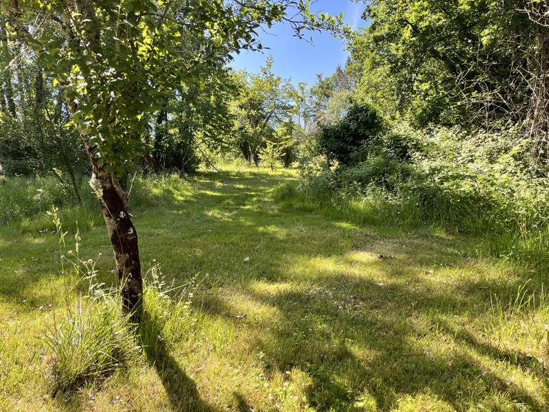 Vente Maison NEUVIC - 6 pièces -135 m² - (24190)