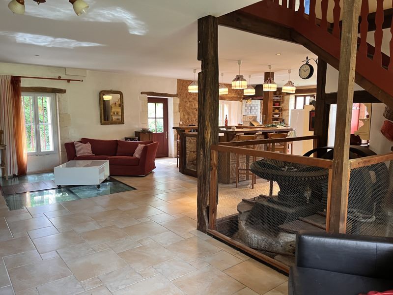 Vente Maison MUSSIDAN - 12 pièces -470 m² - (24400)