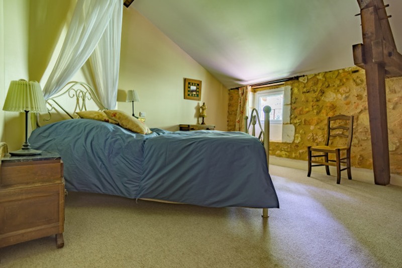 Vente Maison MUSSIDAN - 12 pièces -470 m² - (24400)