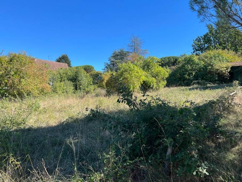Vente Terrain Mussidan - -1231 m² - (24400)