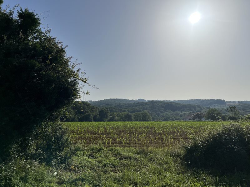 Vente Terrain SALIES DE BEARN - -1300 m² - (64270)