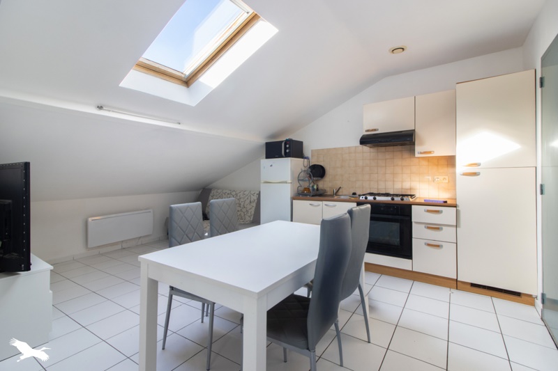 Vente Immeuble ST PALAIS - -  490 m² - (64120)