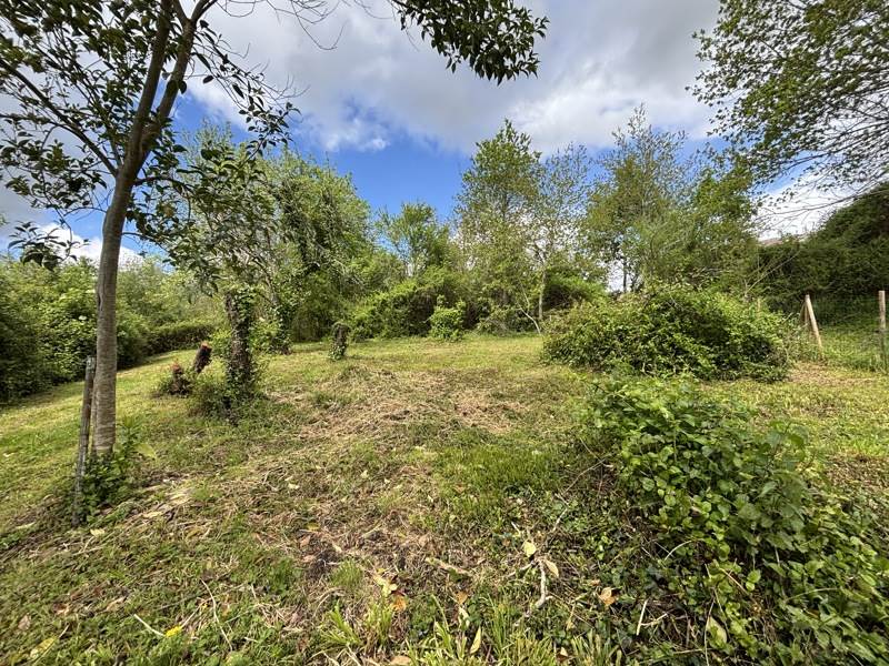 Vente Maison SALIES DE BEARN - 3 pièces -51 m² - (64270)