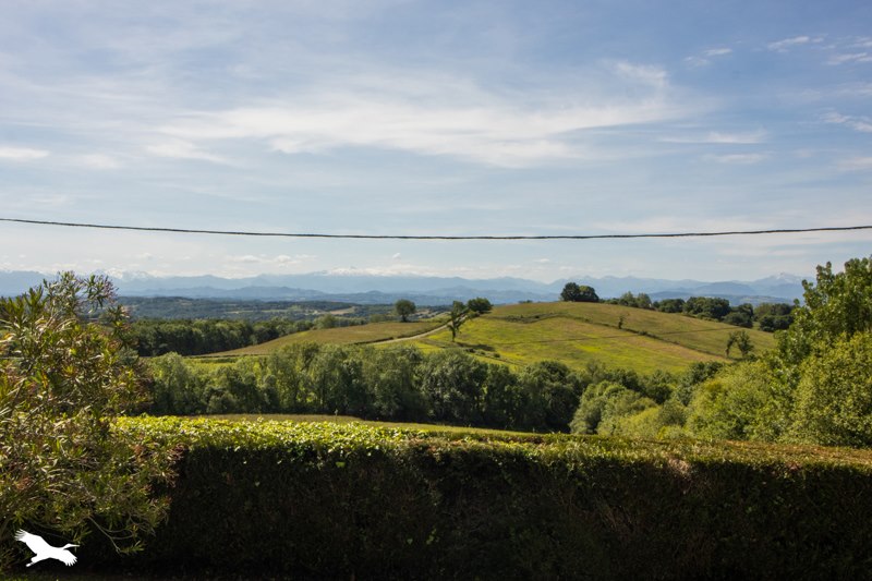 Vente Maison BURGARONNE - 6 pièces -136 m² - (64390)