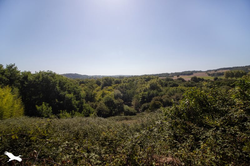 Vente Maison Labastide-Villefranche - 4 pièces -130 m² - (64270)