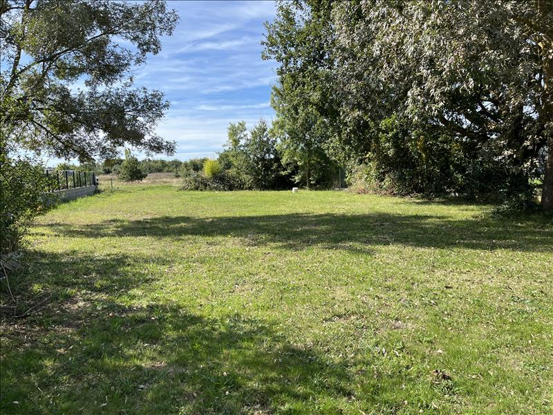 Vente Terrain SEYSSES - -700 m² - (31600)