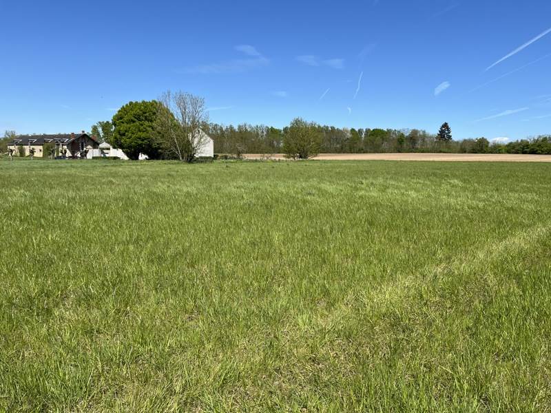 Vente Terrain MOULINS SUR CEPHONS - -6111 m² - (36110)