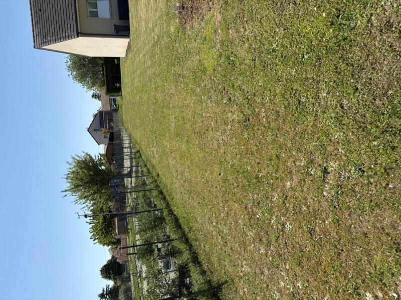 Vente Terrain VINEUIL - -1147 m² - (36110)