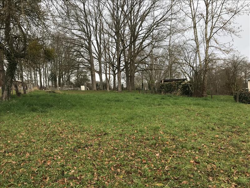 Vente Terrain Domérat - -1110 m² - (03410)