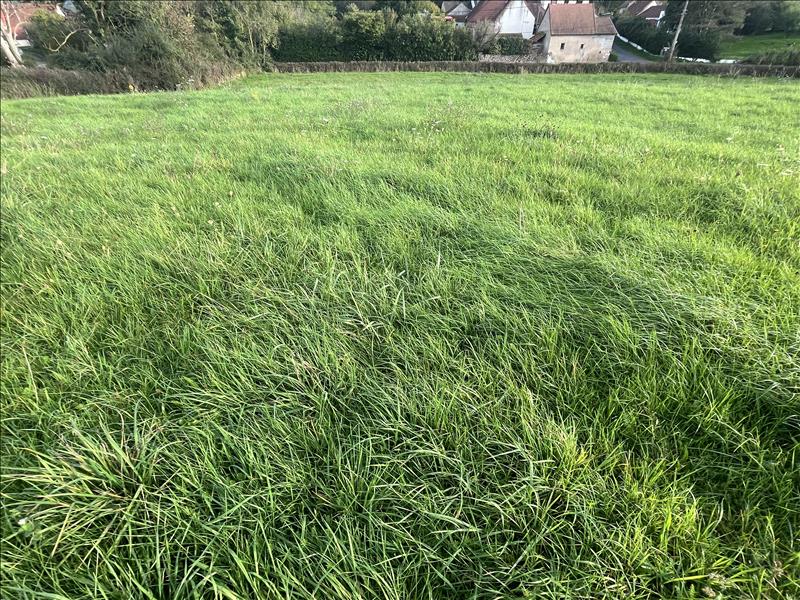 Vente Terrain VAUX - -2049 m² - (03190)