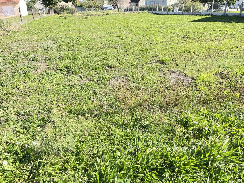 Vente Terrain DOMERAT - -1103 m² - (03410)