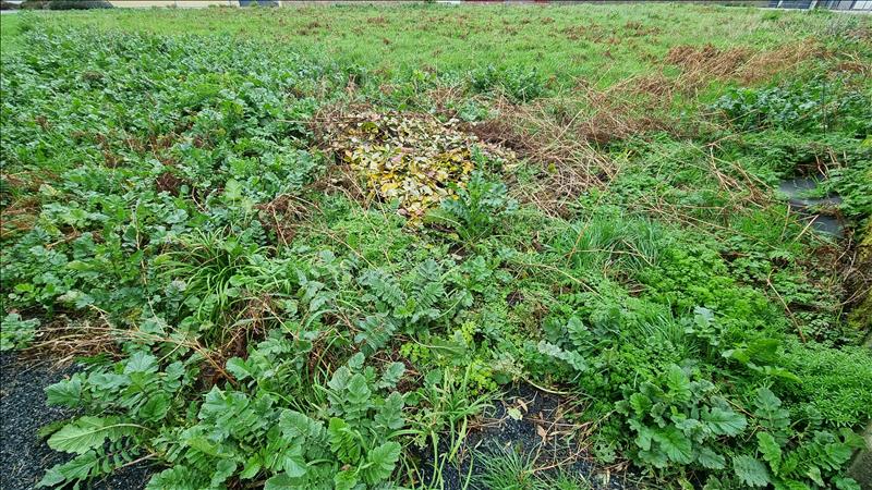 Vente Terrain TREFFIAGAT - -932 m² - (29730)