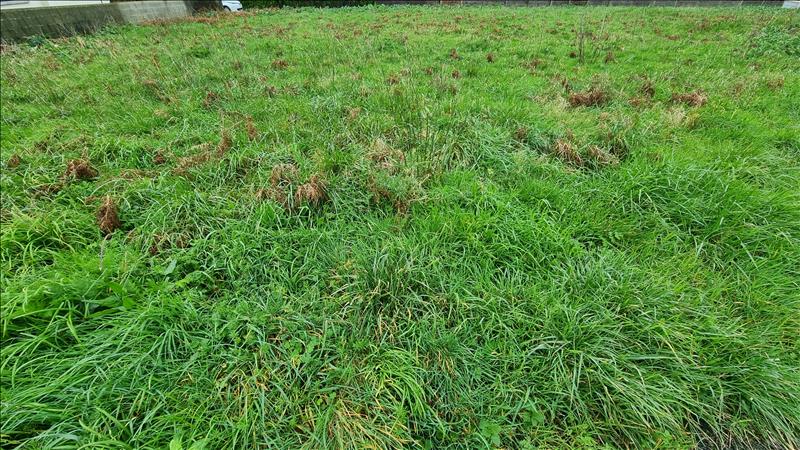 Vente Terrain TREFFIAGAT - -932 m² - (29730)