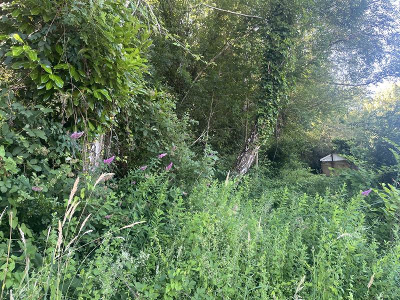 Vente Terrain BOISSE PENCHOT - -5433 m² - (12300)